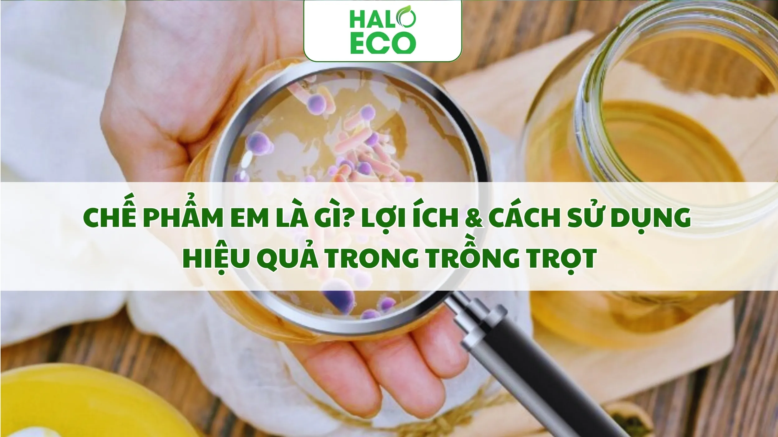 CHẾ PHẨM EM - GIẢI PHÁP SINH HỌC HIỆU QUẢ CHO NÔNG NGHIỆP BỀN VỮNG