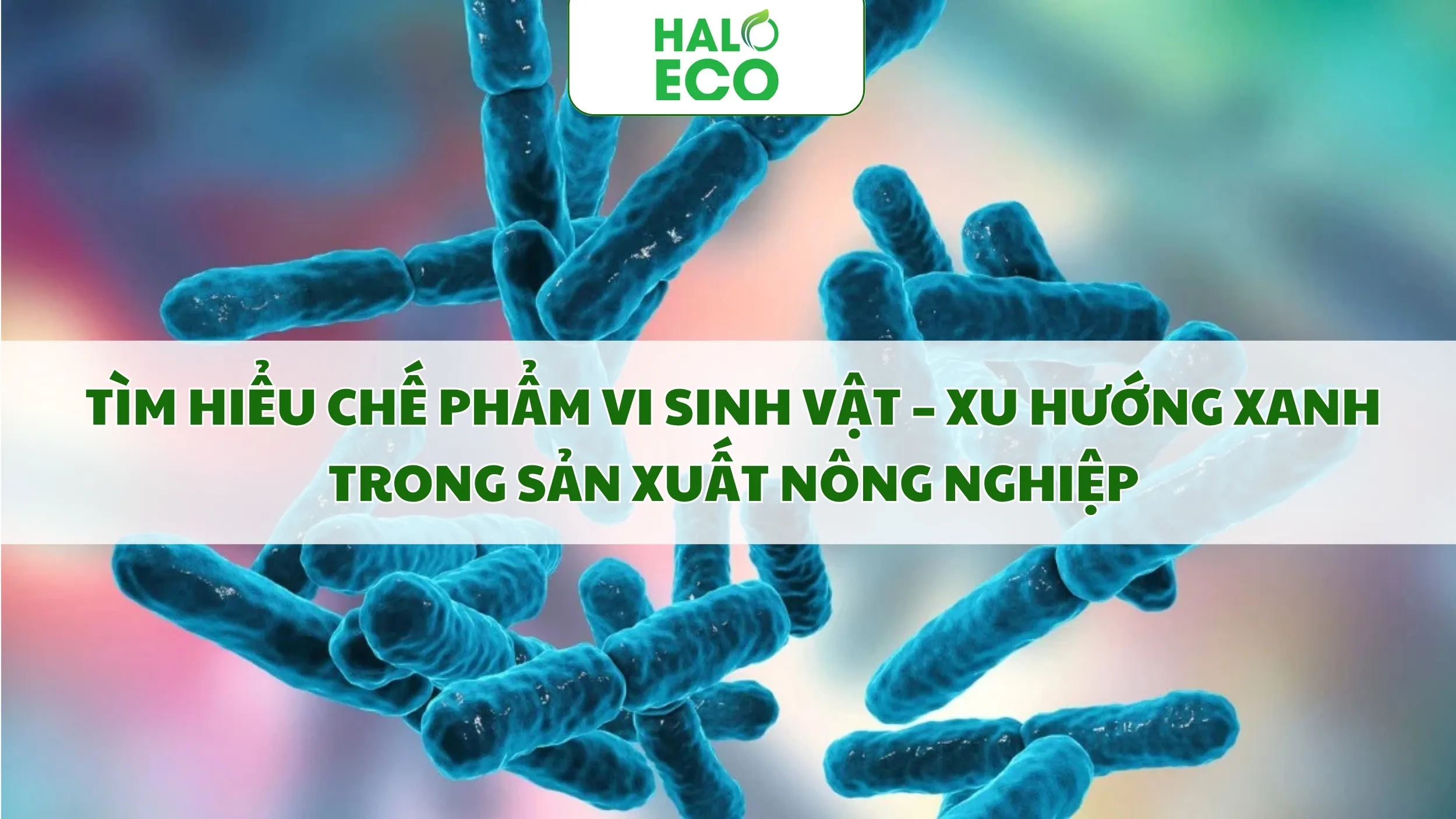 TÌM HIỂU CHẾ PHẨM VI SINH VẬT – XU HƯỚNG XANH TRONG SẢN XUẤT NÔNG NGHIỆP